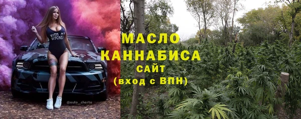 твердый Новодвинск
