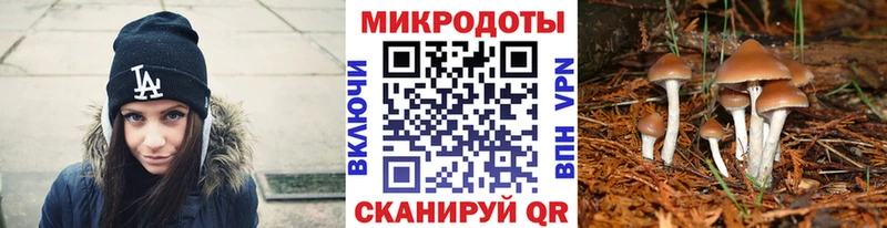 закладка  Новопавловск  Псилоцибиновые грибы мухоморы 
